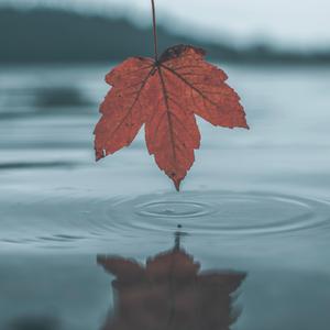 亚洲日韩中文字幕一区
